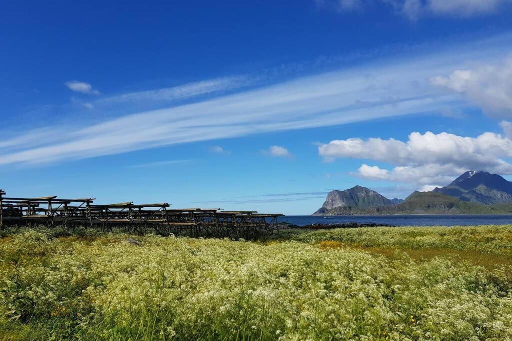 Lofoten- Enjoy The Nature-With A Beautiful Beach Napp Экстерьер фото
